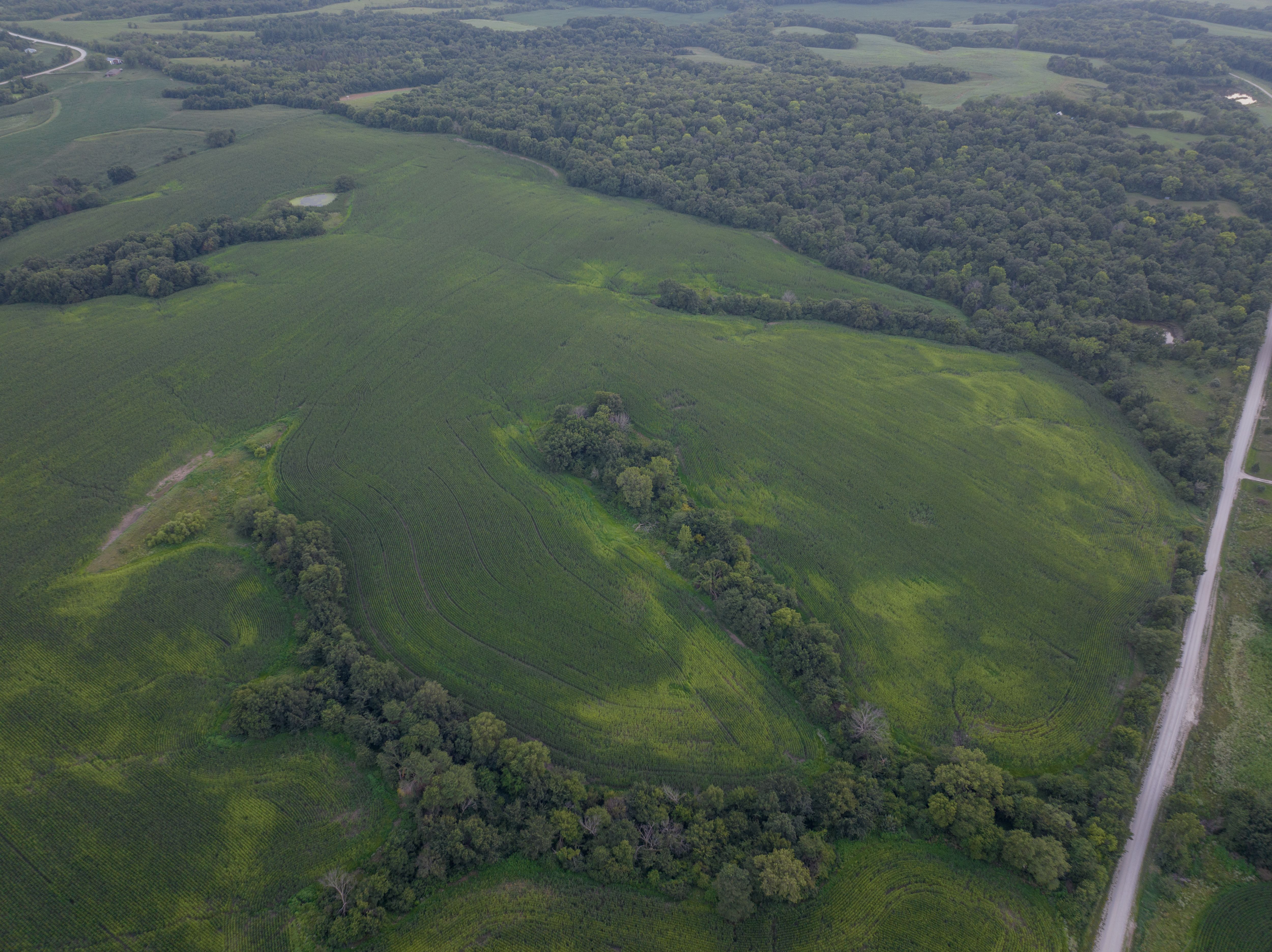 Listing Photo: Lovila Land-9